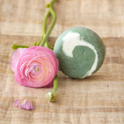 Cukrov� pivonka - �ih�avov� �amp�n