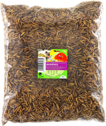 Suen larvy brnenky 1kg